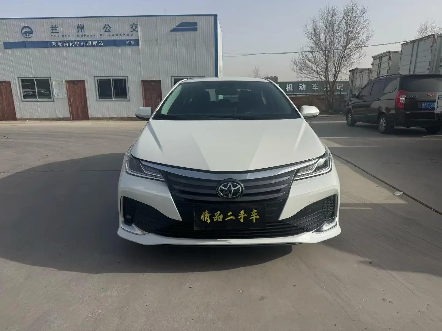 Toyota Asiatic lion