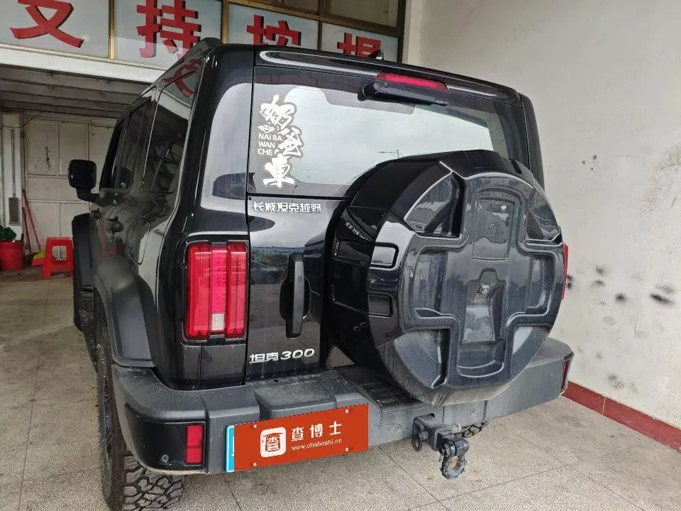 Tank 300