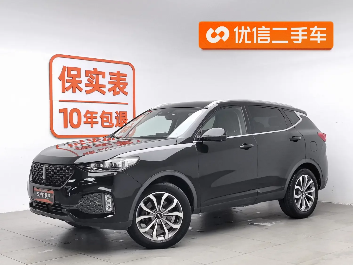 Wey Wei brand VV6