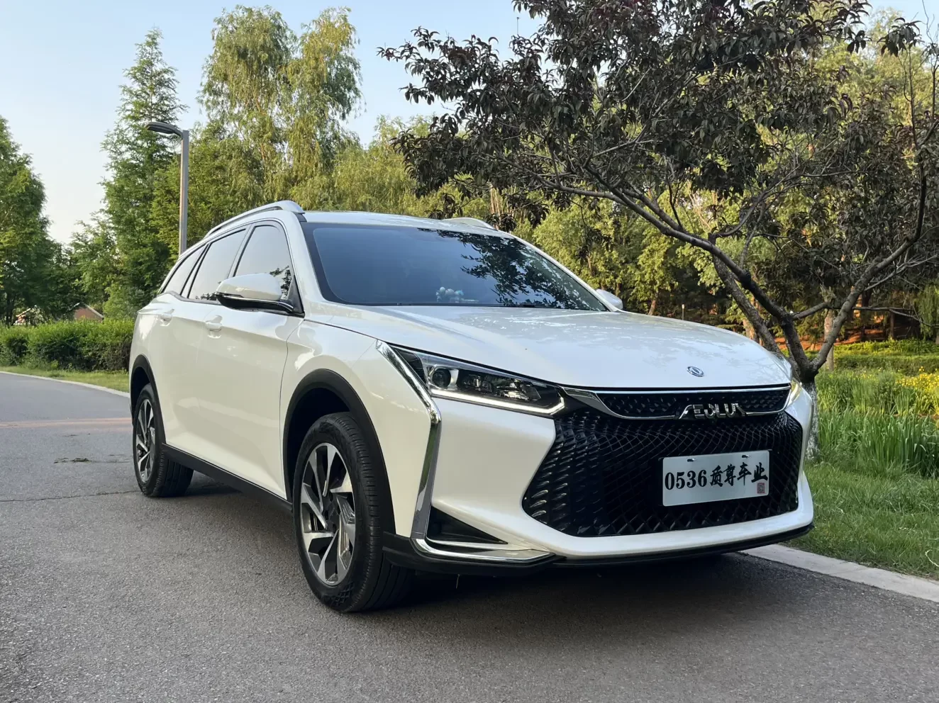 Dongfeng Yixuan GS