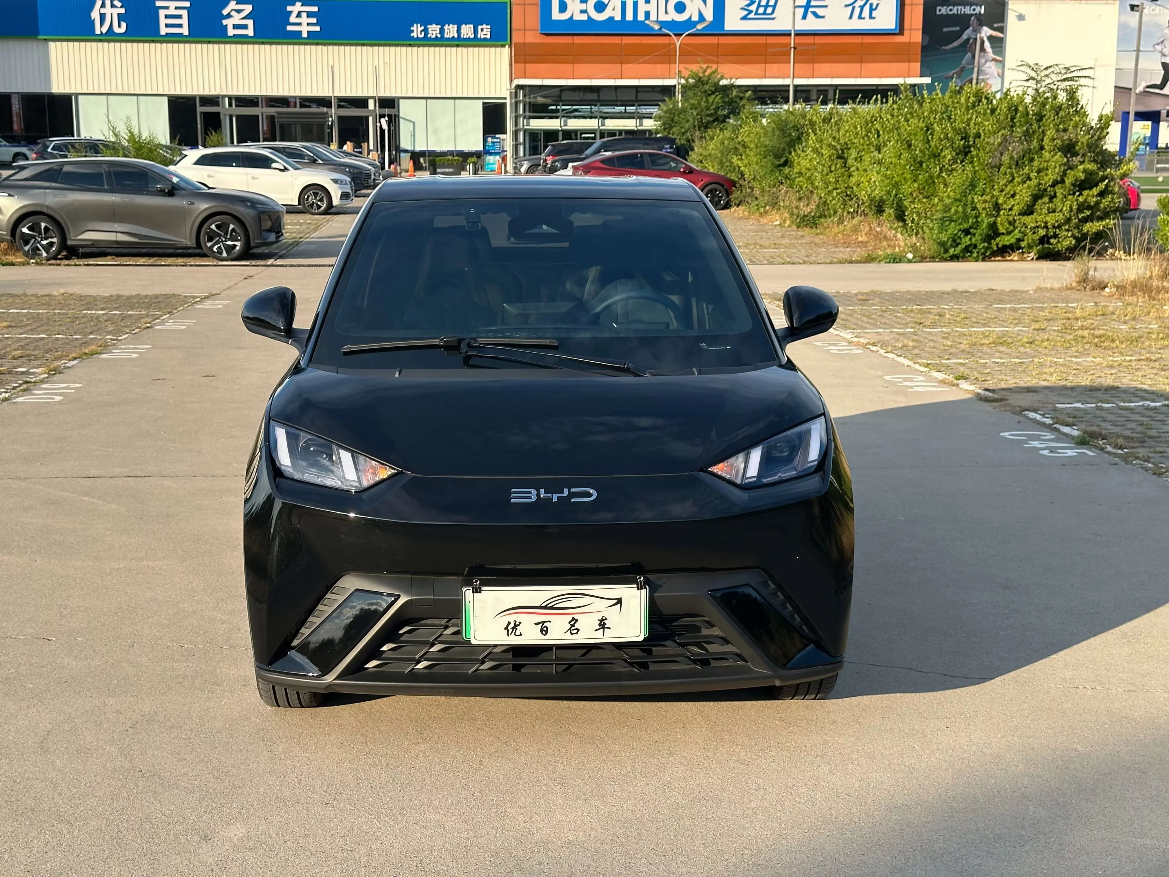 BYD seagull