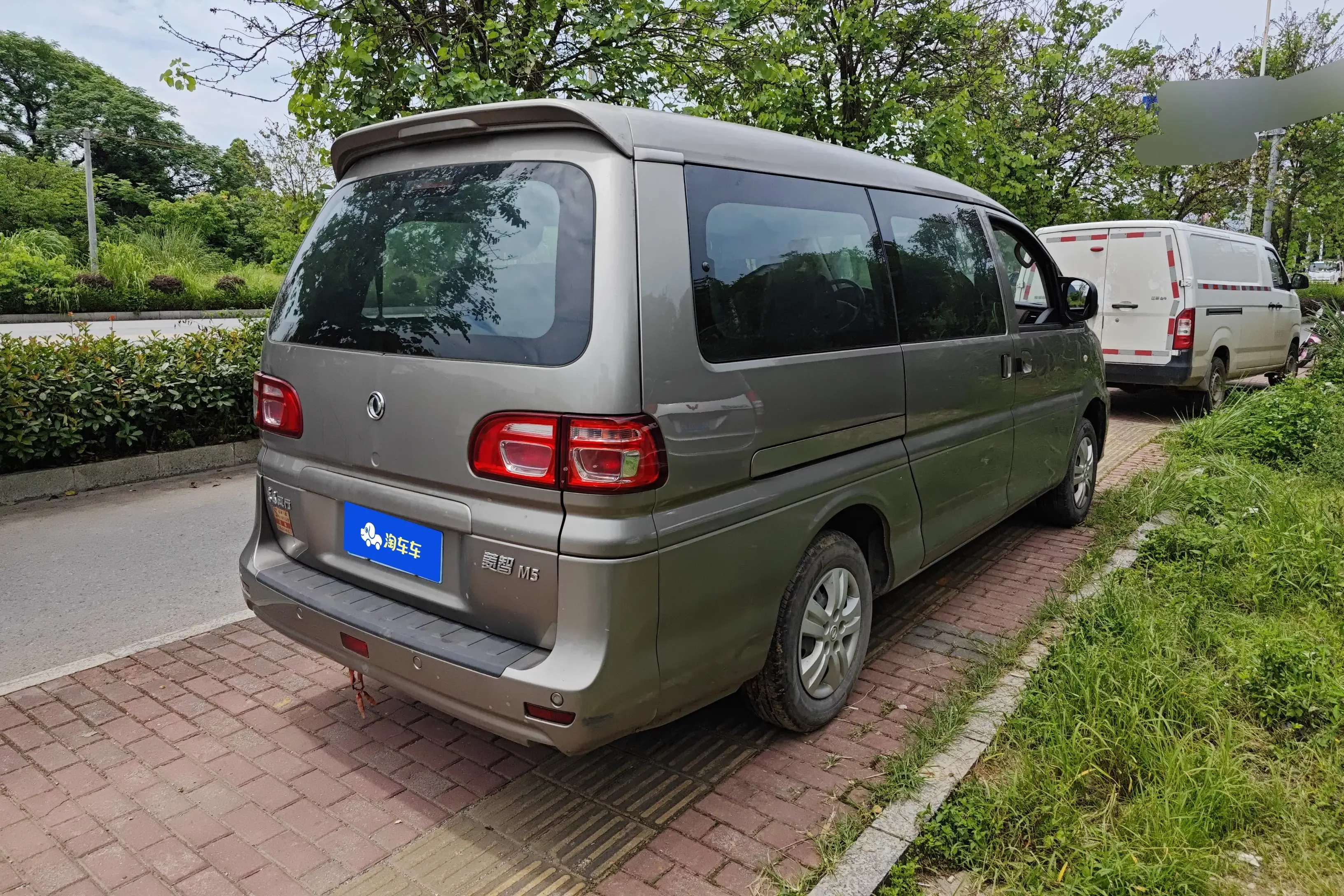 Forthing Lingzhi