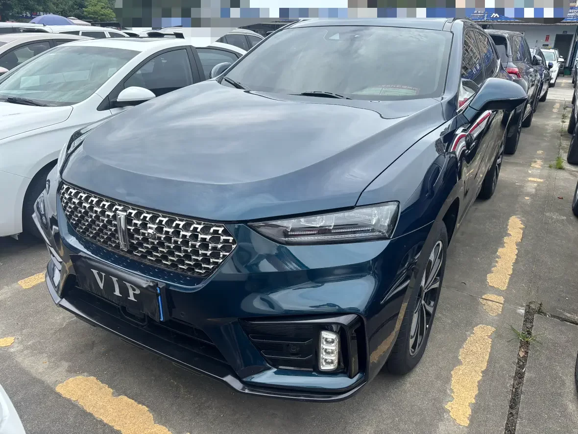 Wey Wei brand VV7
