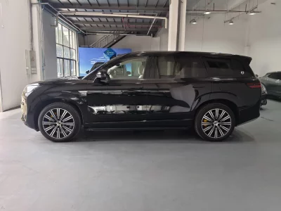 Denza Tengzhong N9 DM