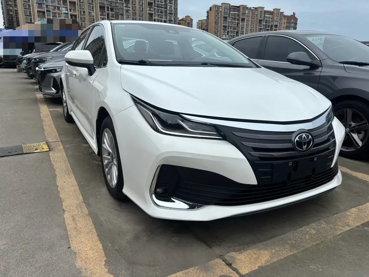 Toyota Asiatic lion