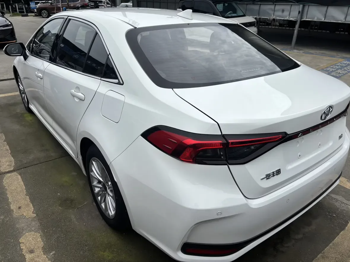 Toyota Asiatic lion