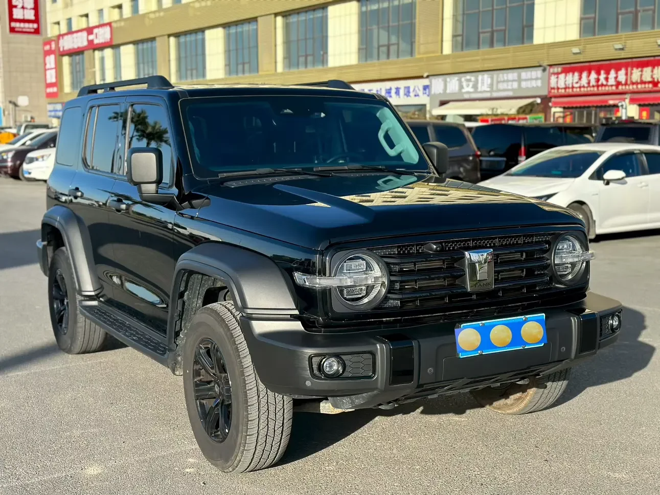 Tank 300