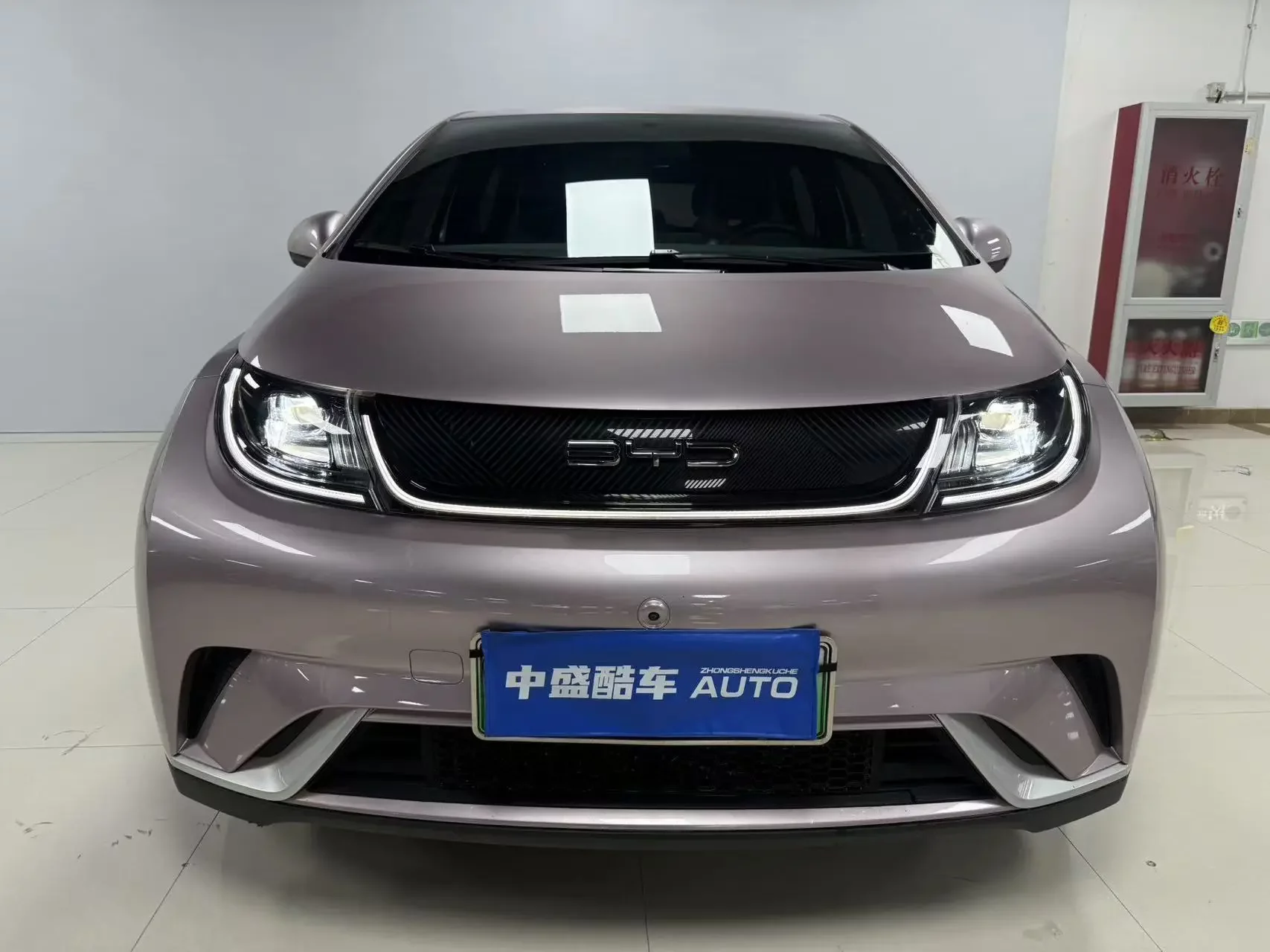 BYD dolphin