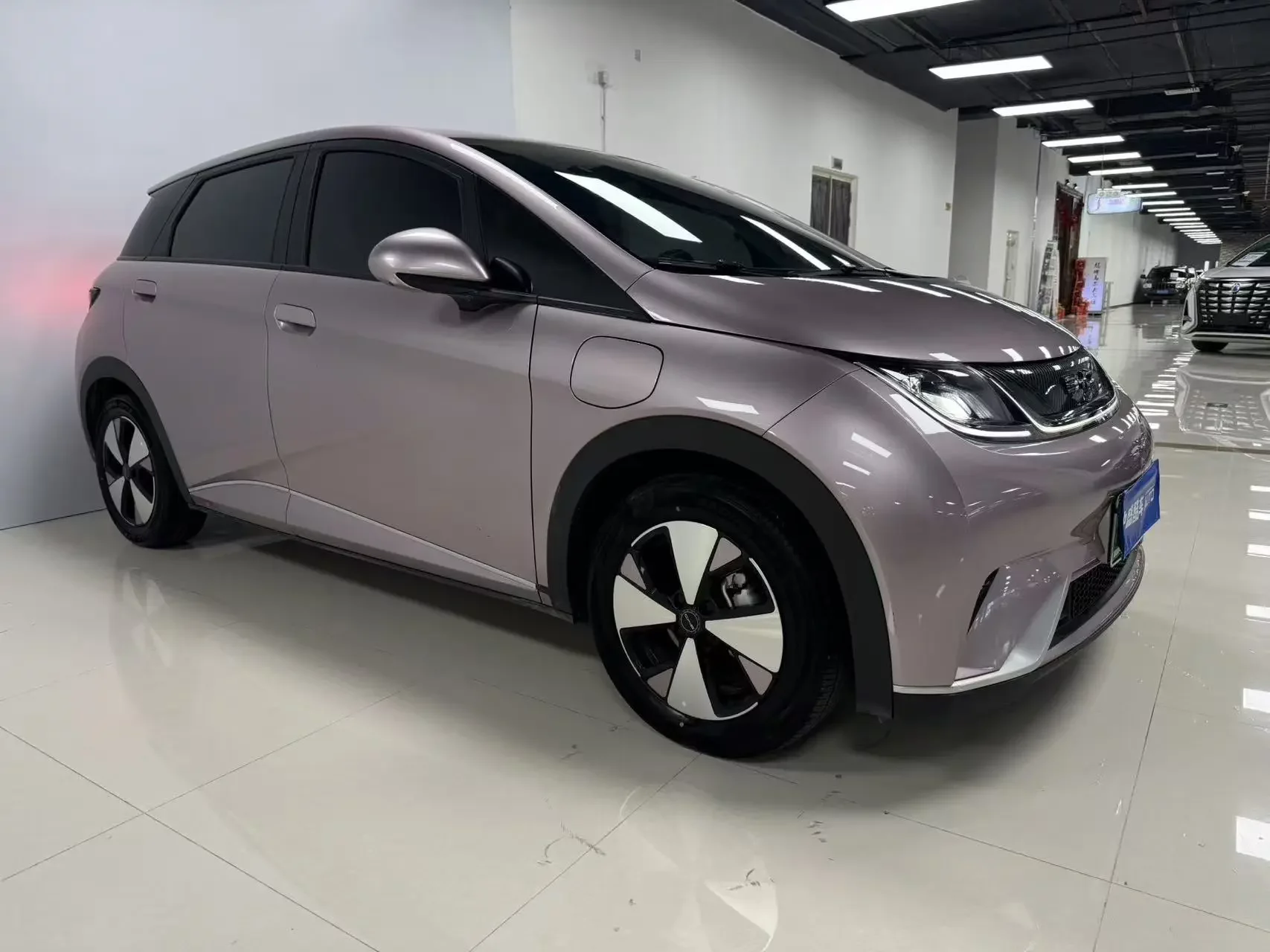 BYD dolphin