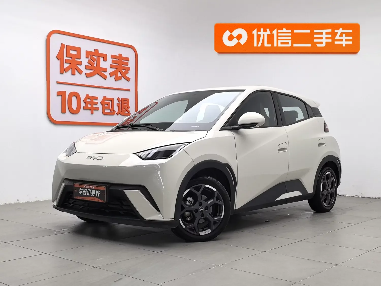 BYD seagull