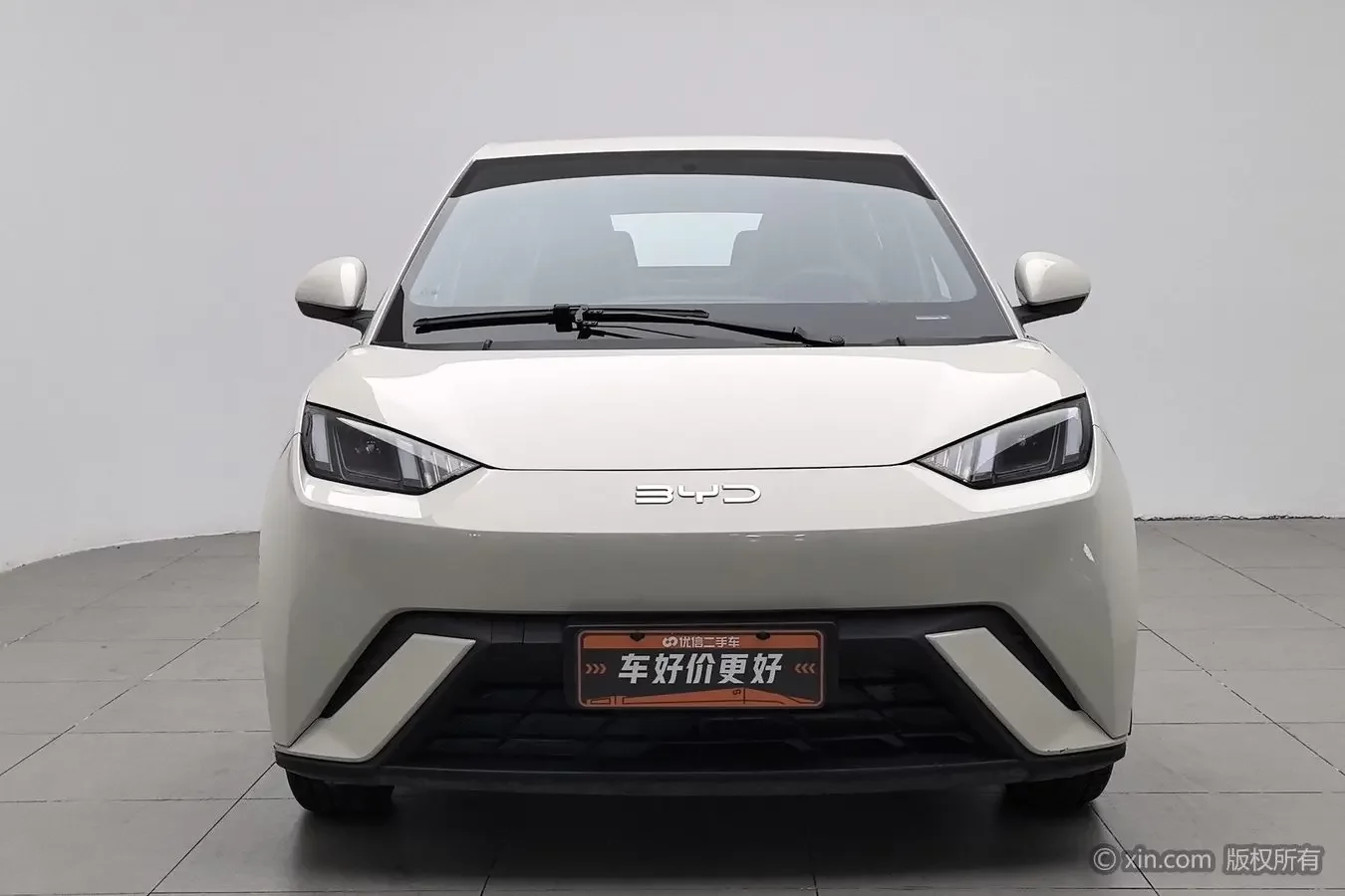 BYD seagull