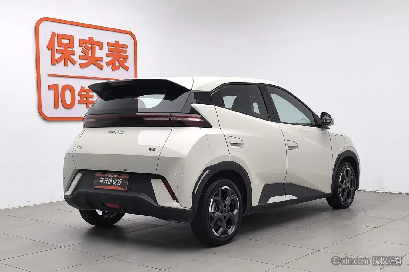 BYD seagull