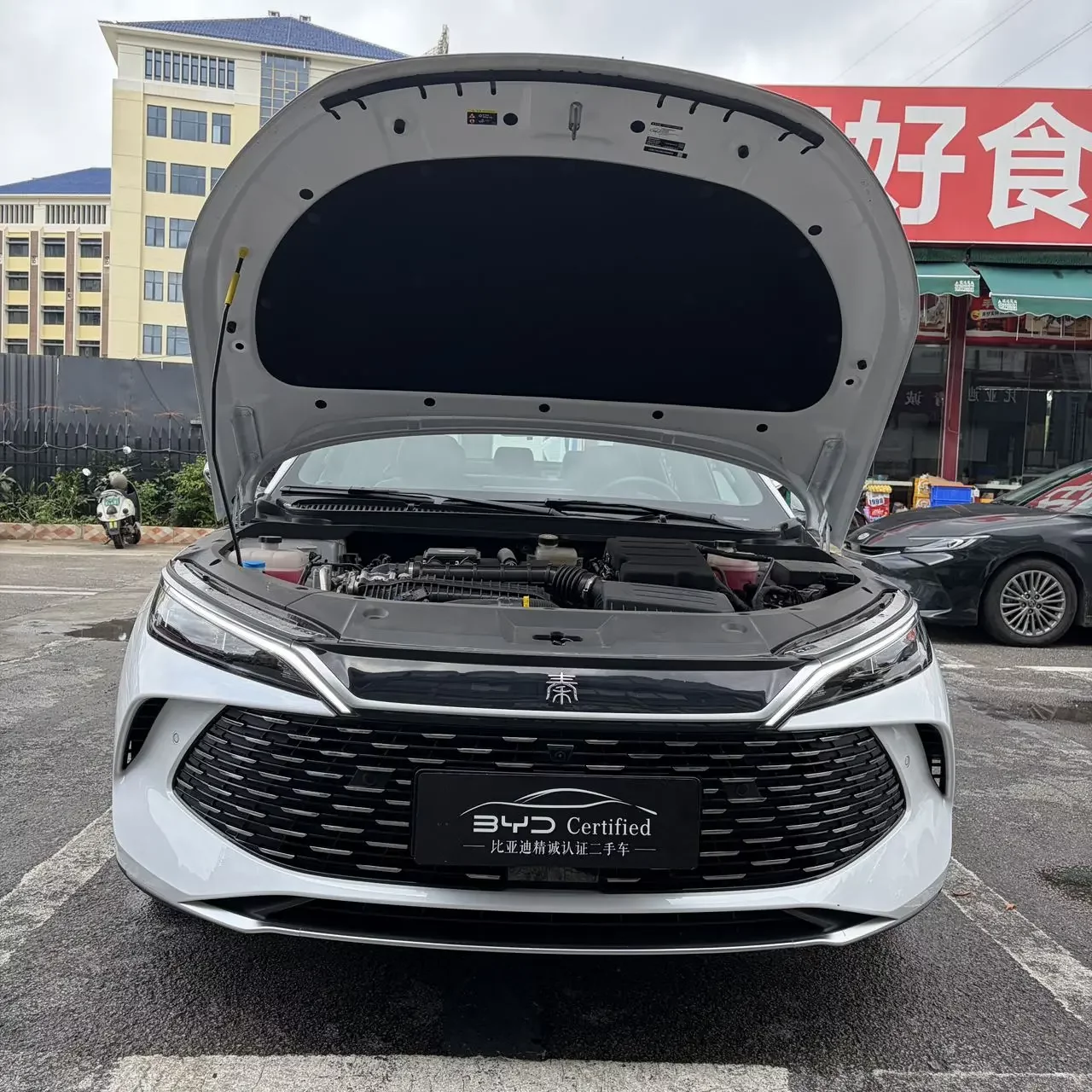 BYD Qin L DM