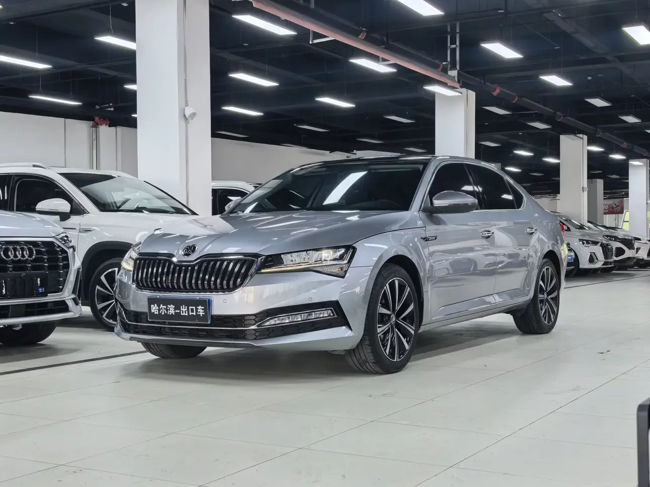 Skoda Speedy