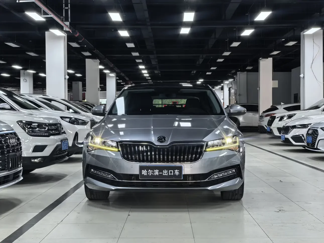 Skoda Speedy