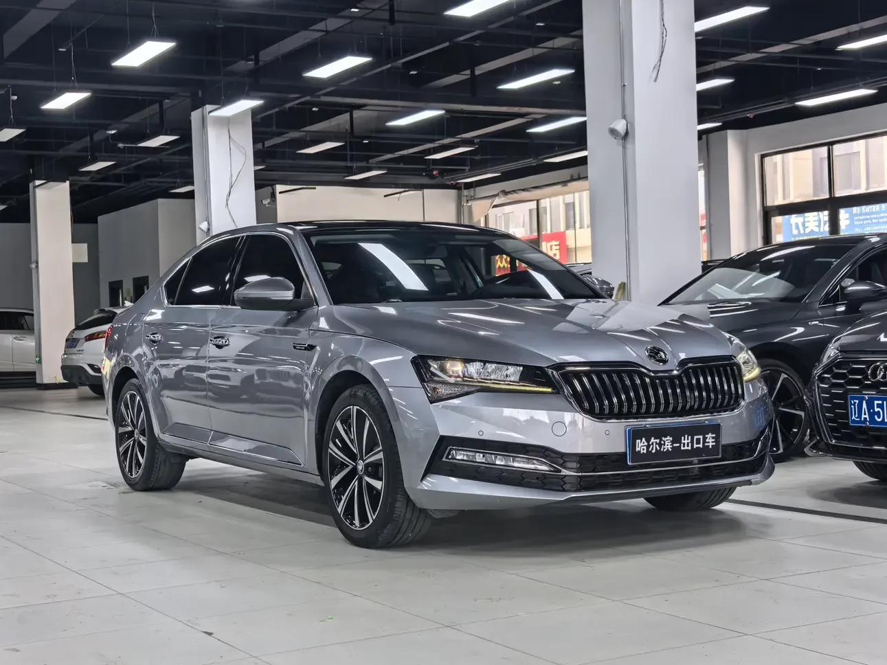 Skoda Speedy