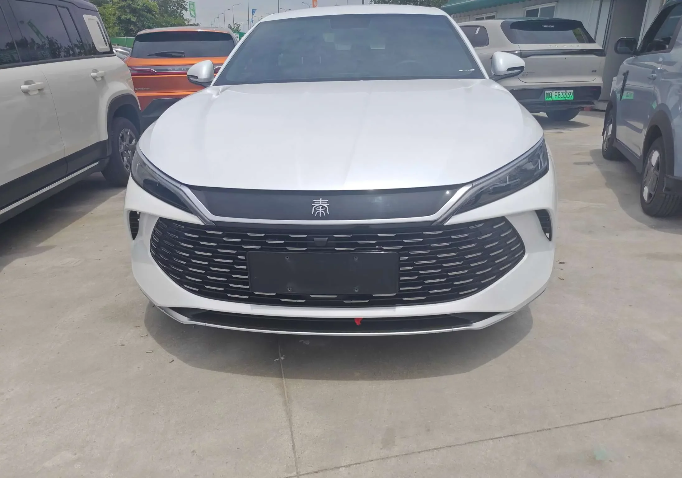 BYD Qin L DM