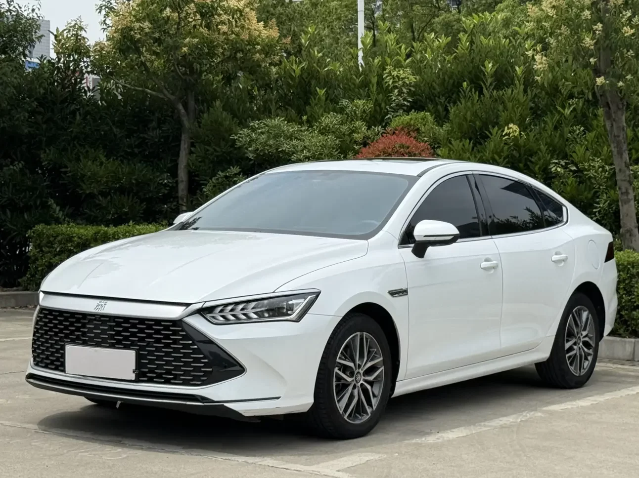 BYD Qin PLUS DM