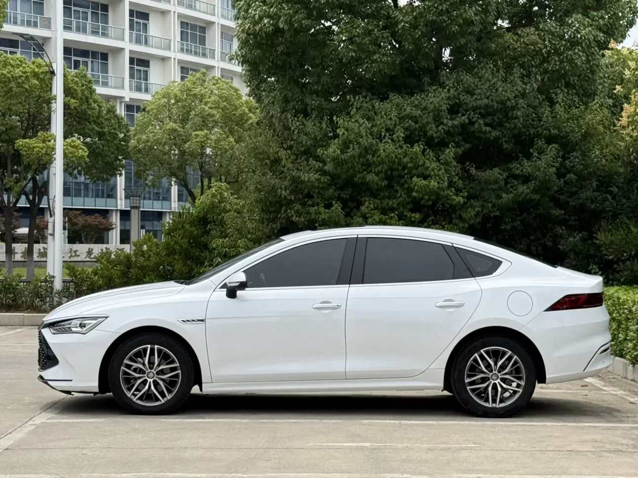 BYD Qin PLUS DM