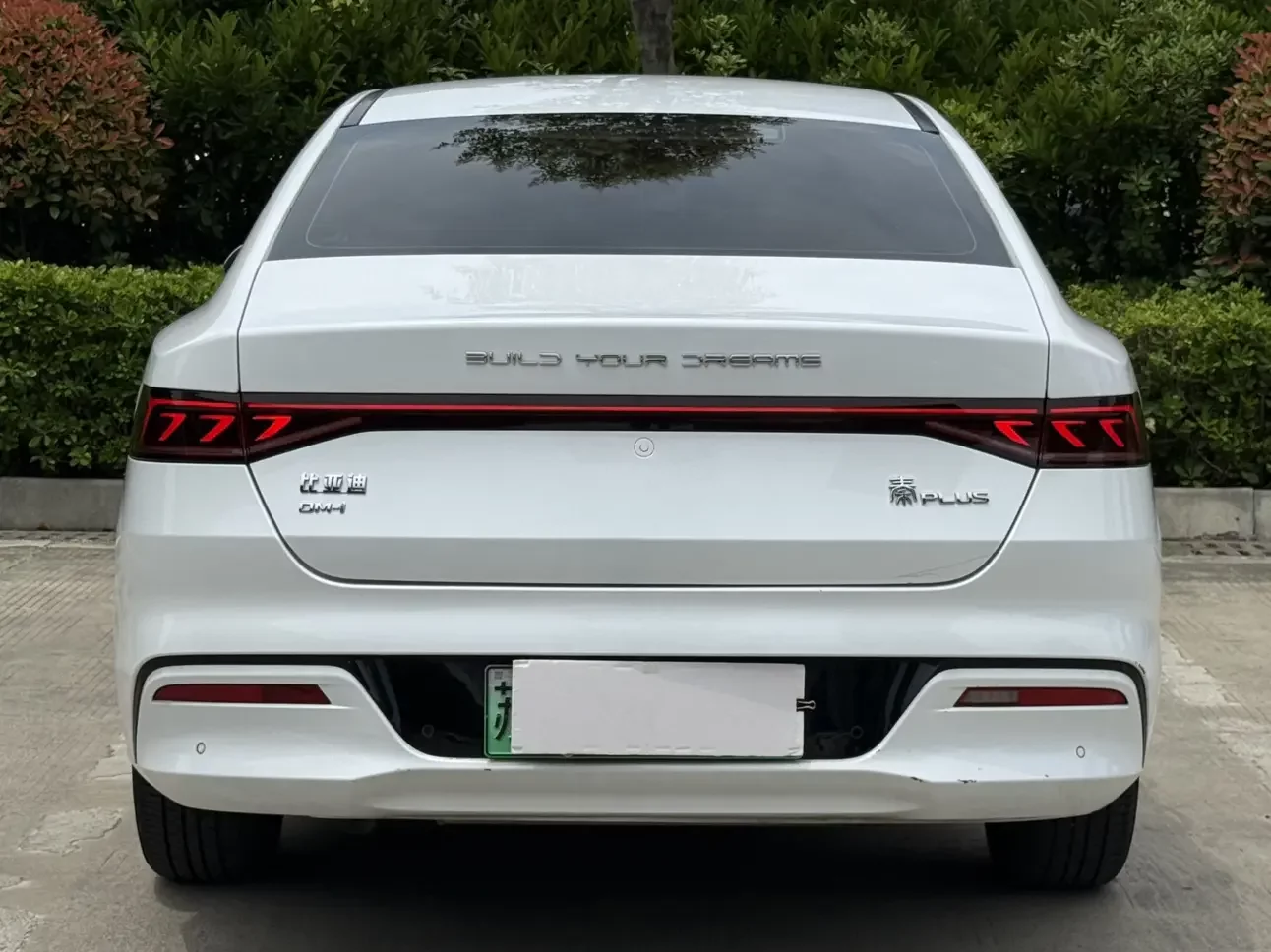 BYD Qin PLUS DM