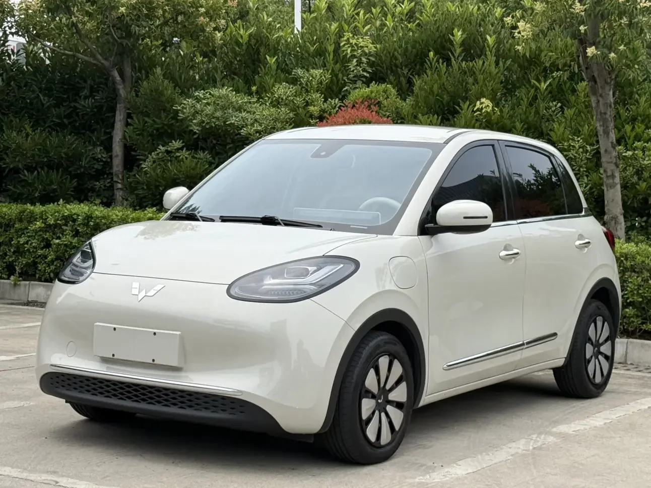 Wuling Bingo