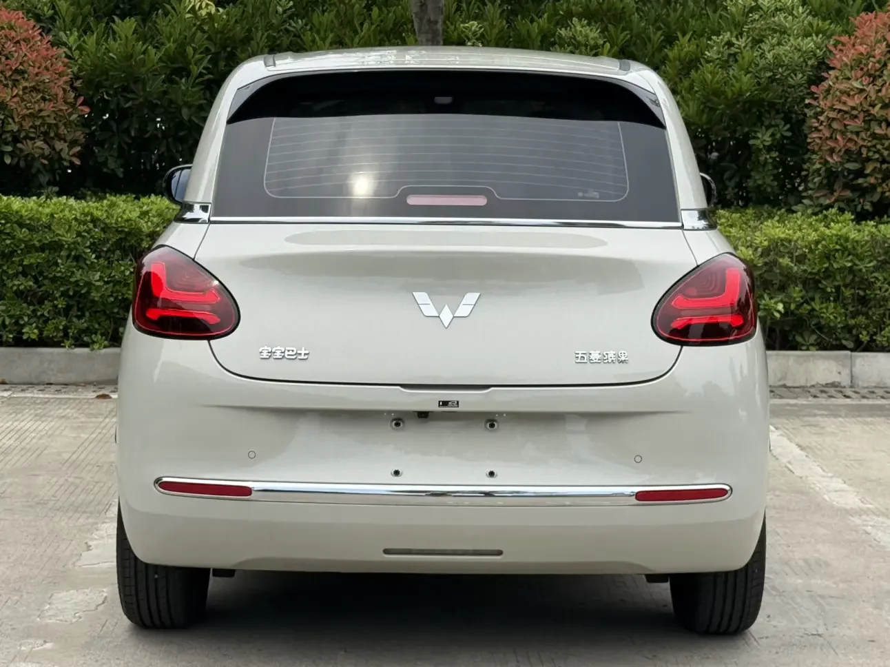 Wuling Bingo