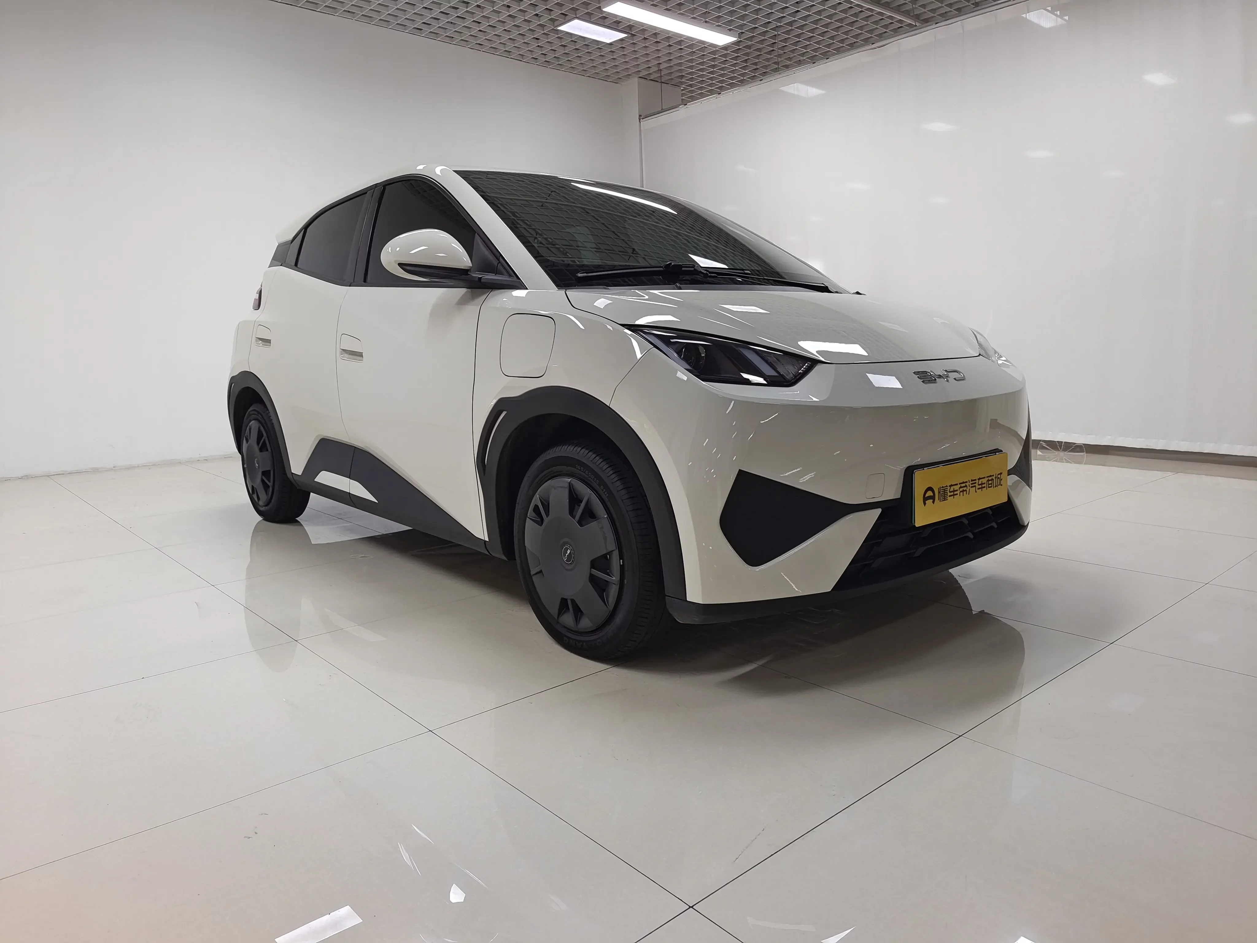 BYD seagull
