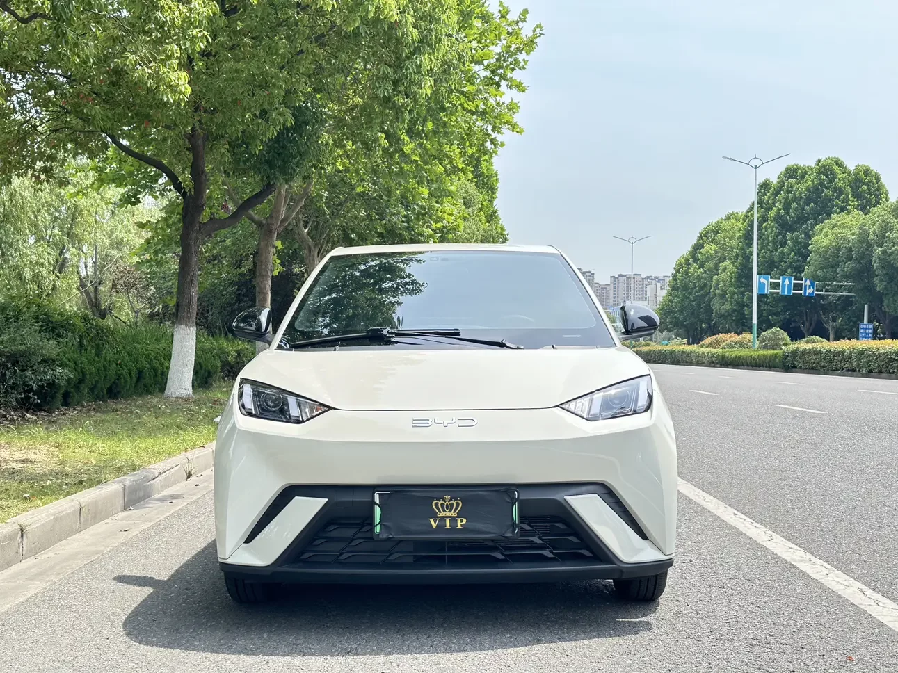BYD seagull