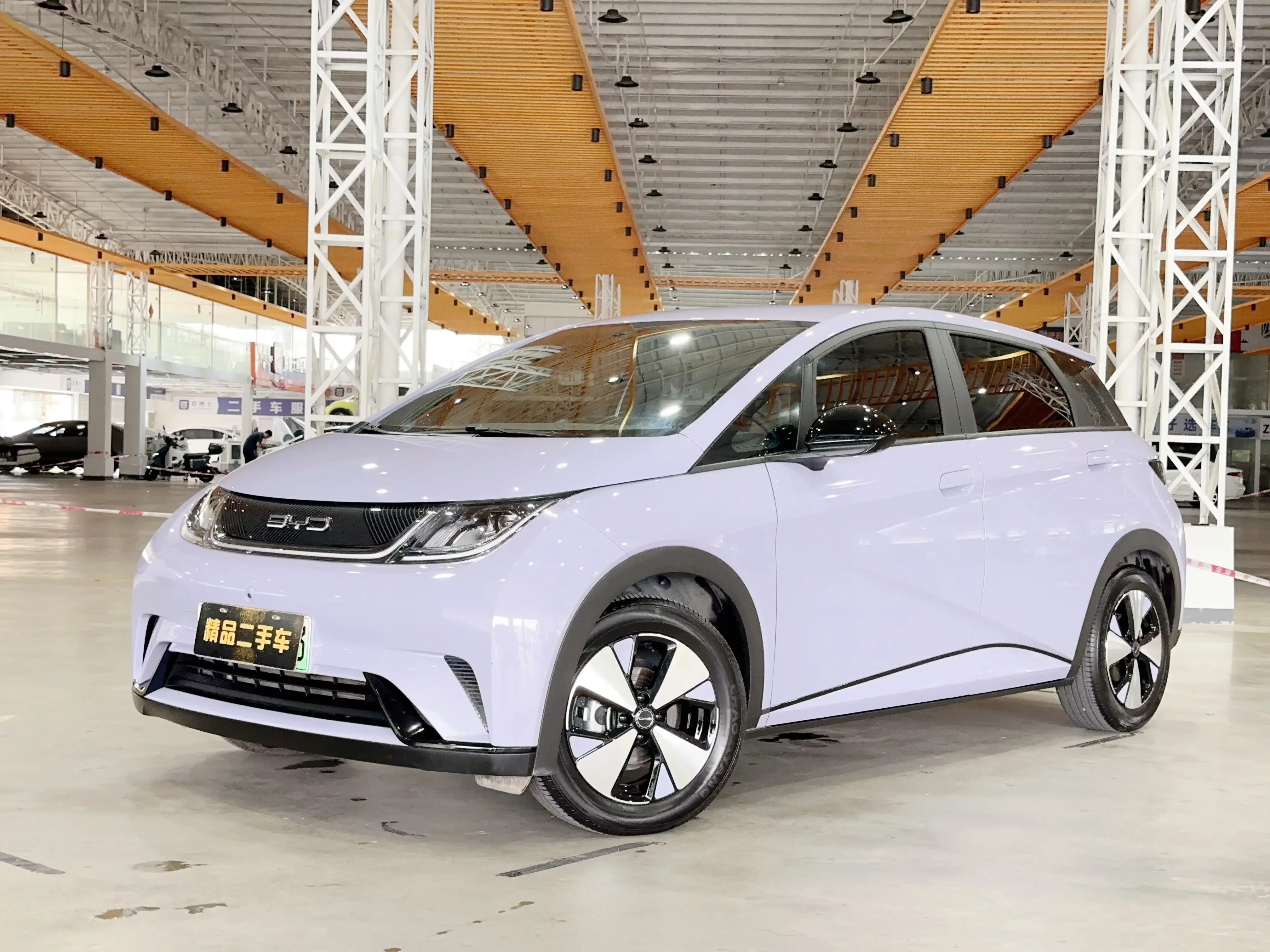 BYD dolphin