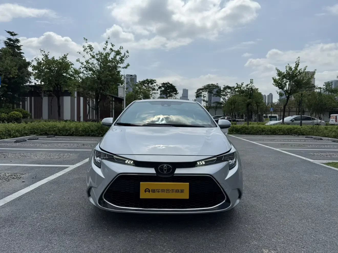 Toyota Levin