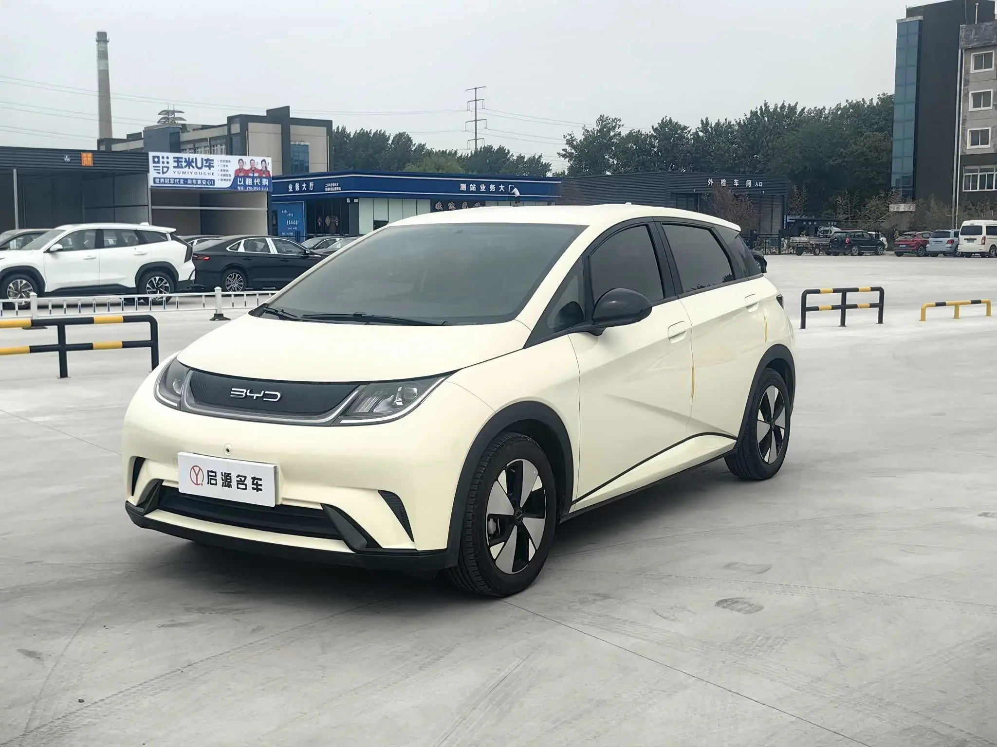 BYD dolphin