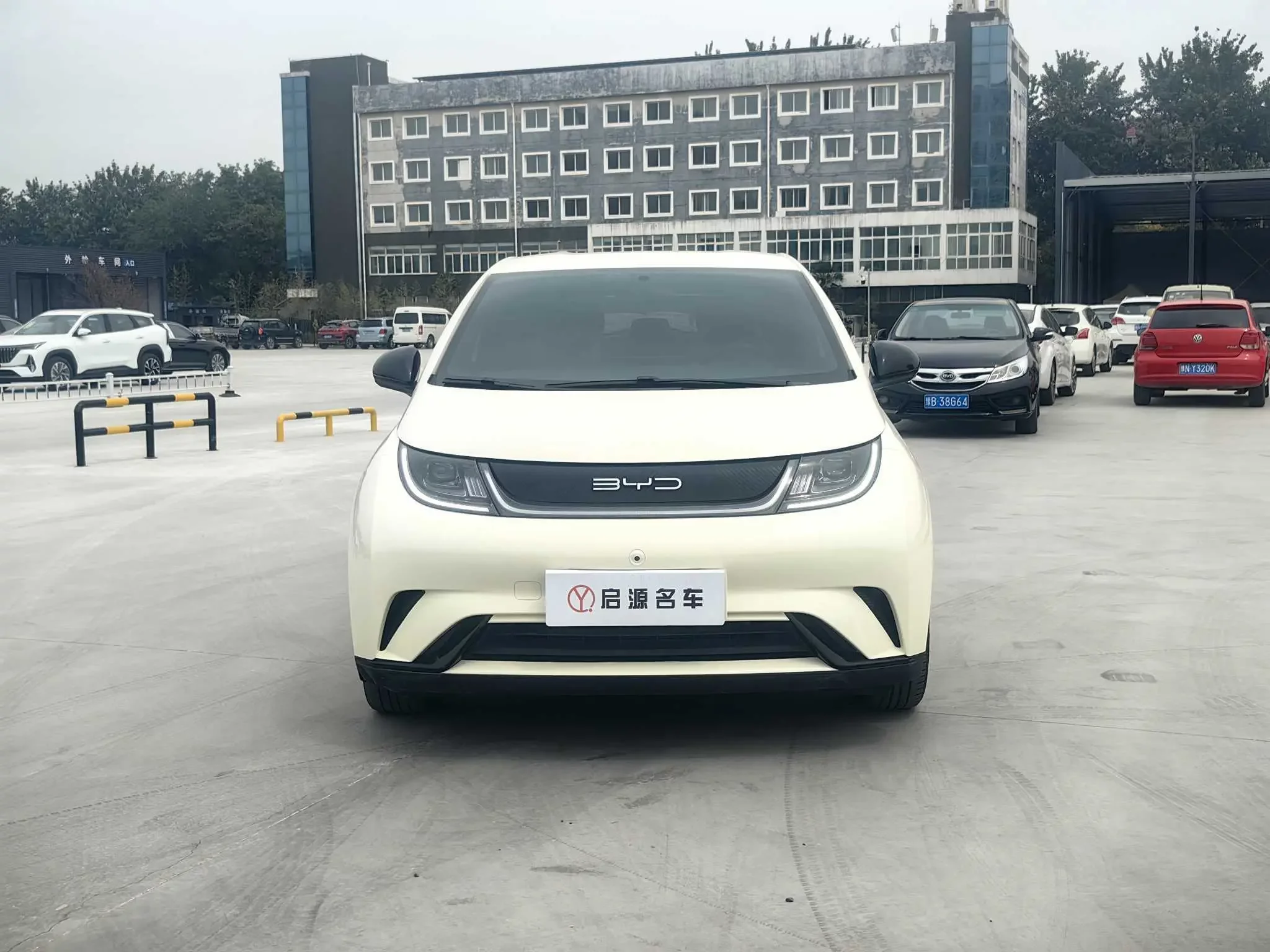 BYD dolphin