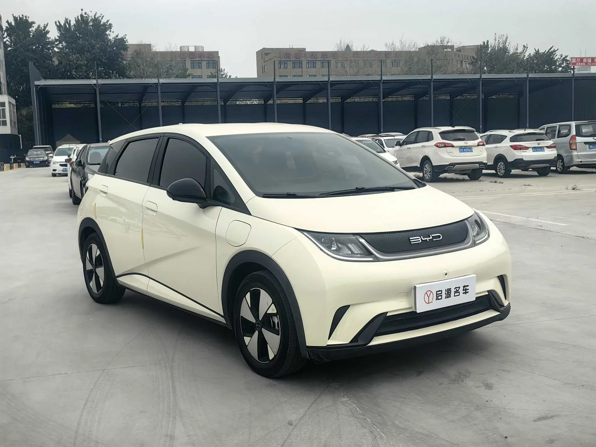 BYD dolphin