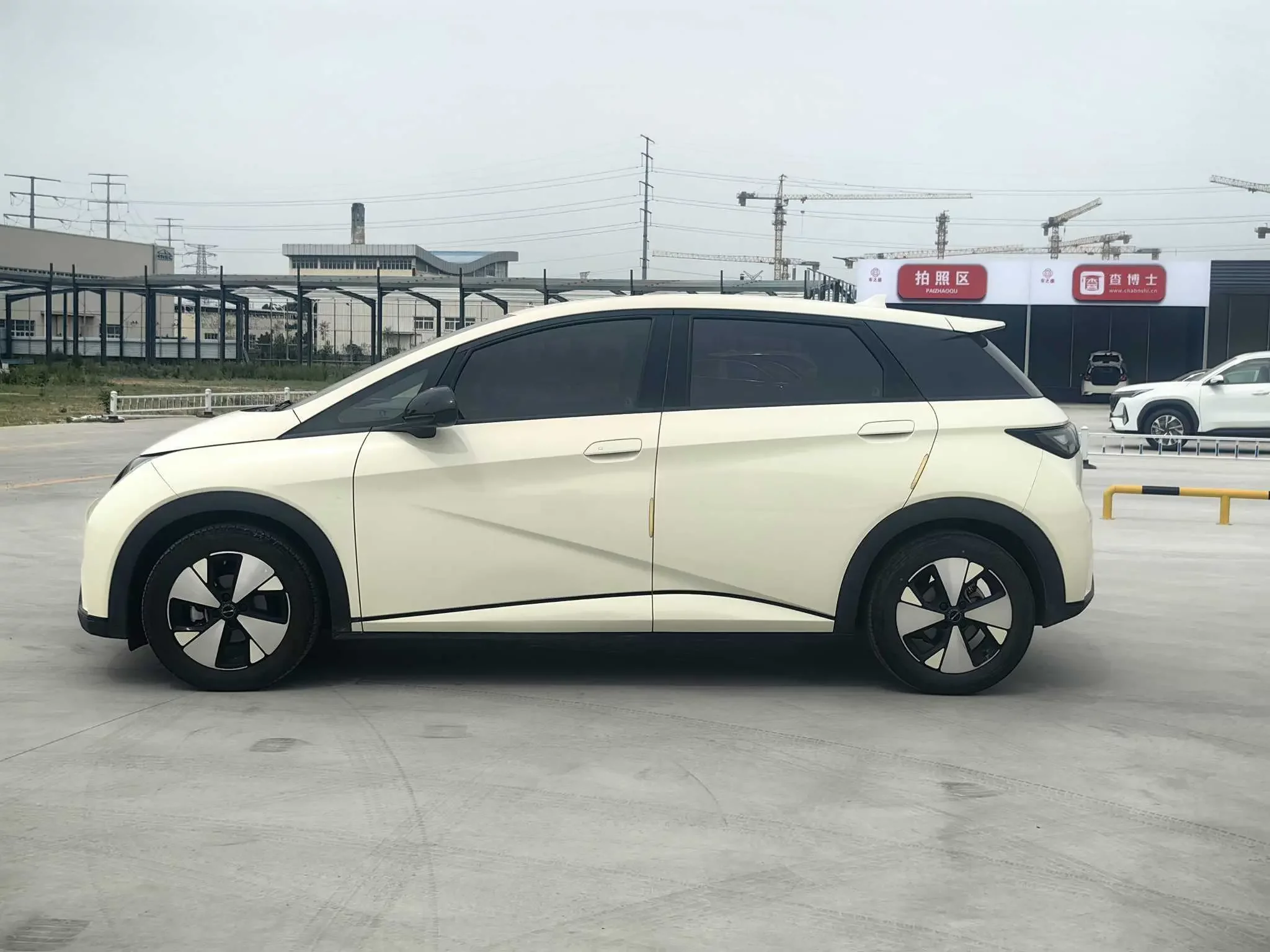 BYD dolphin