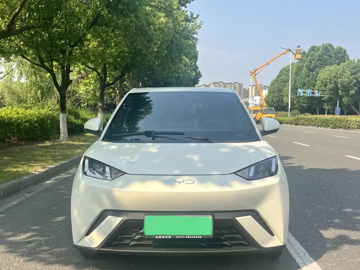 BYD seagull