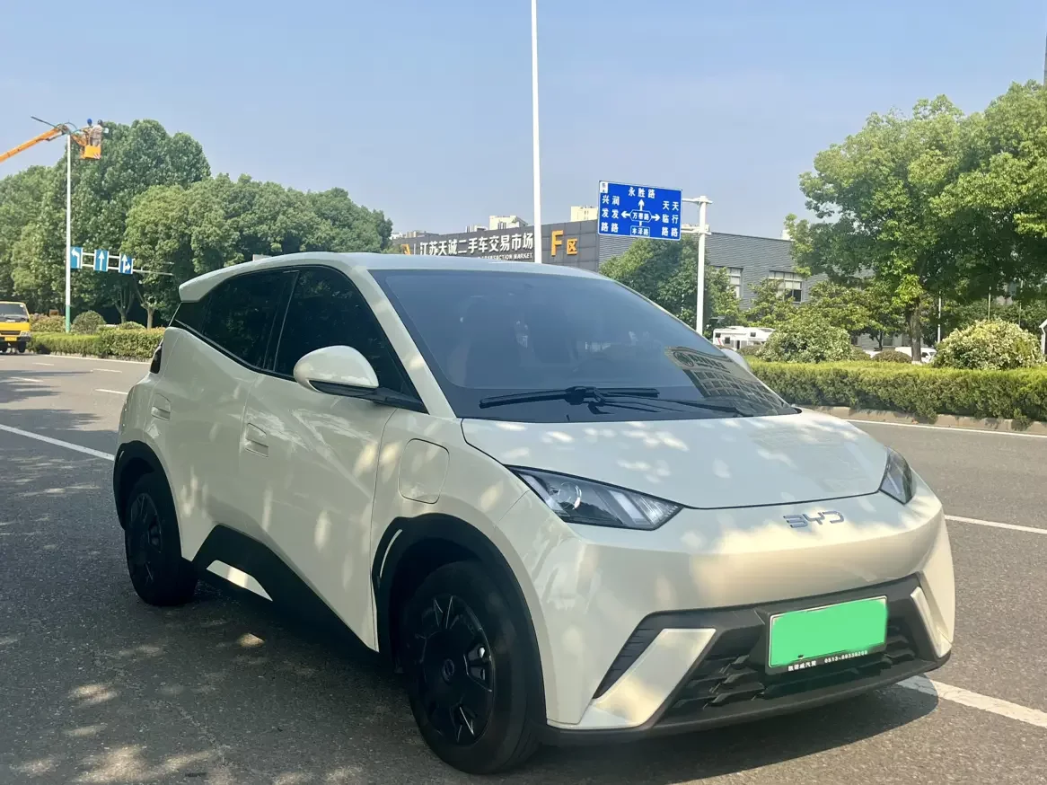BYD seagull