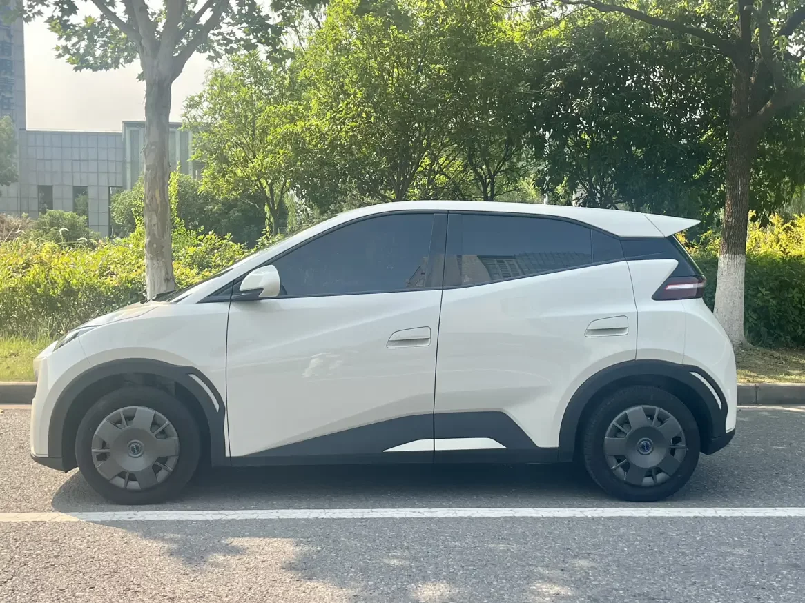 BYD seagull