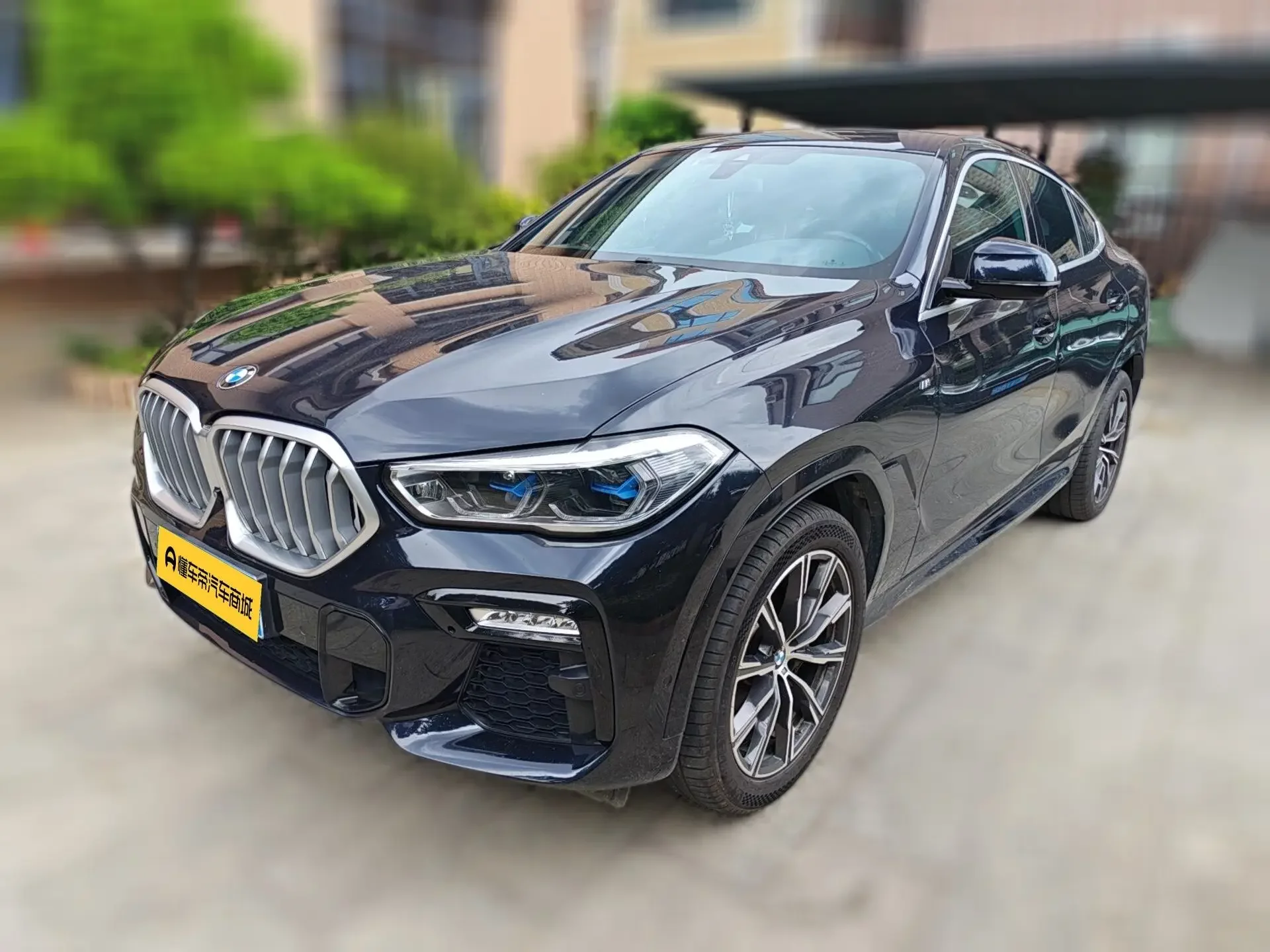 BMW X6
