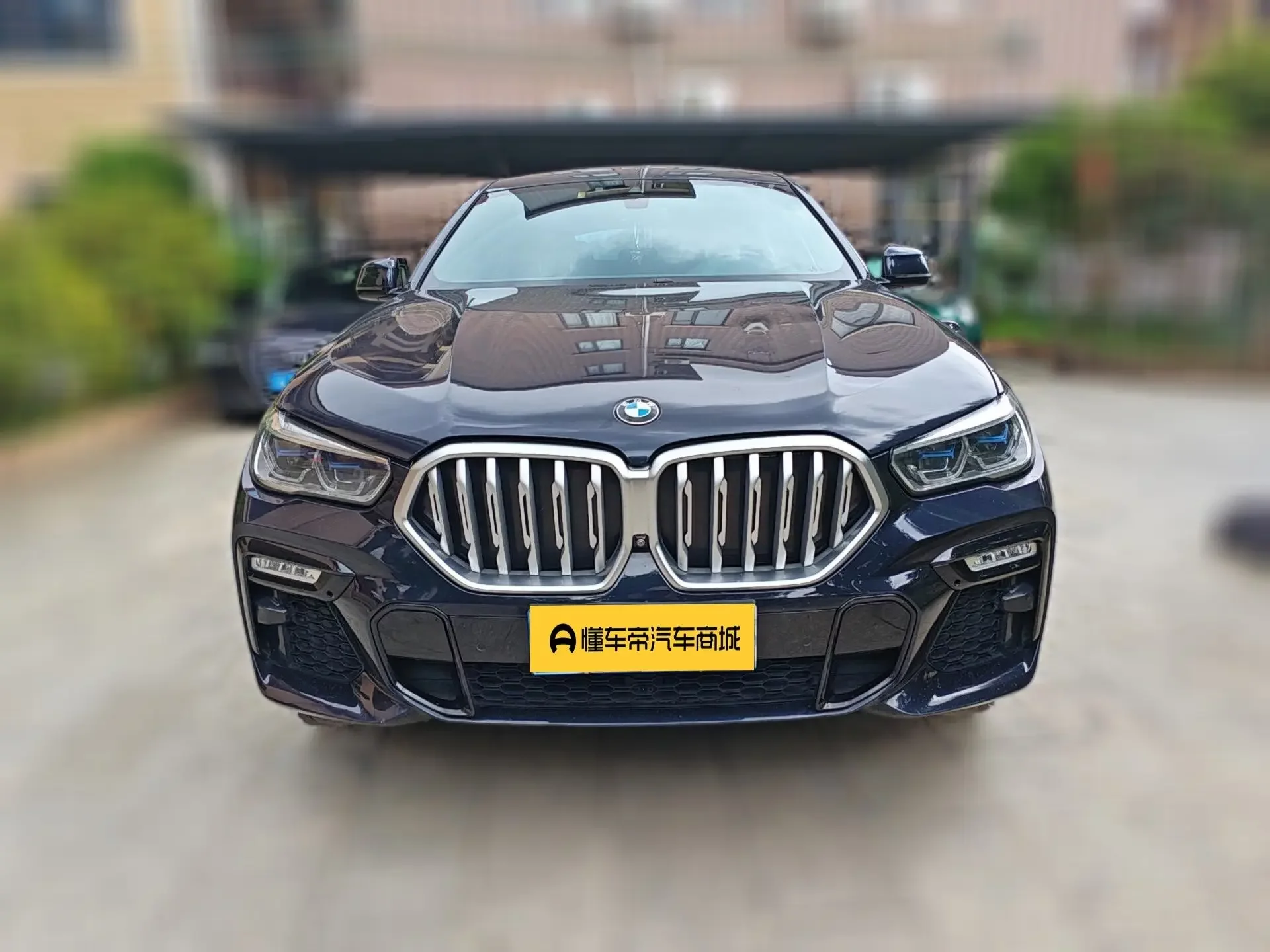 BMW X6