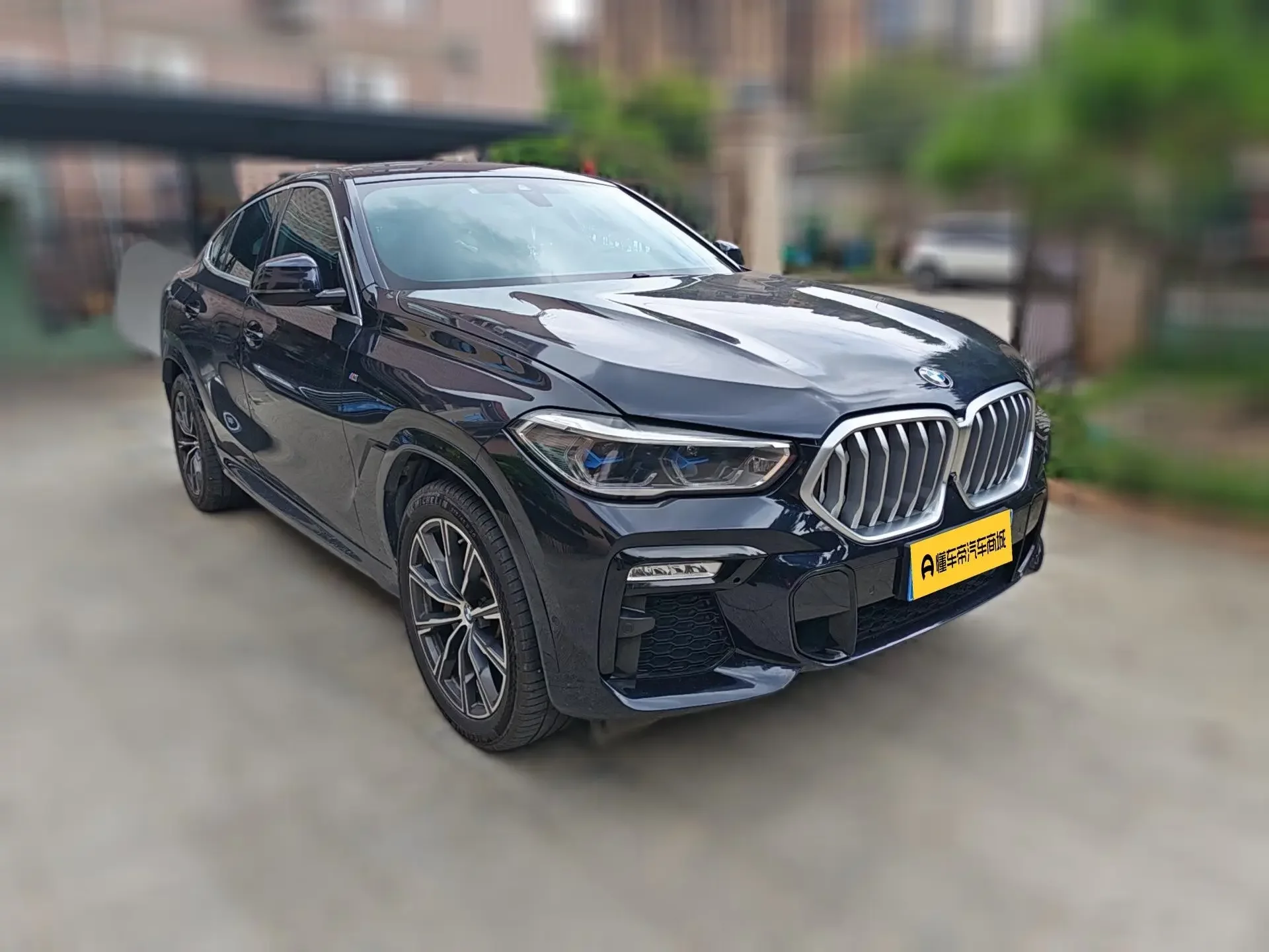 BMW X6