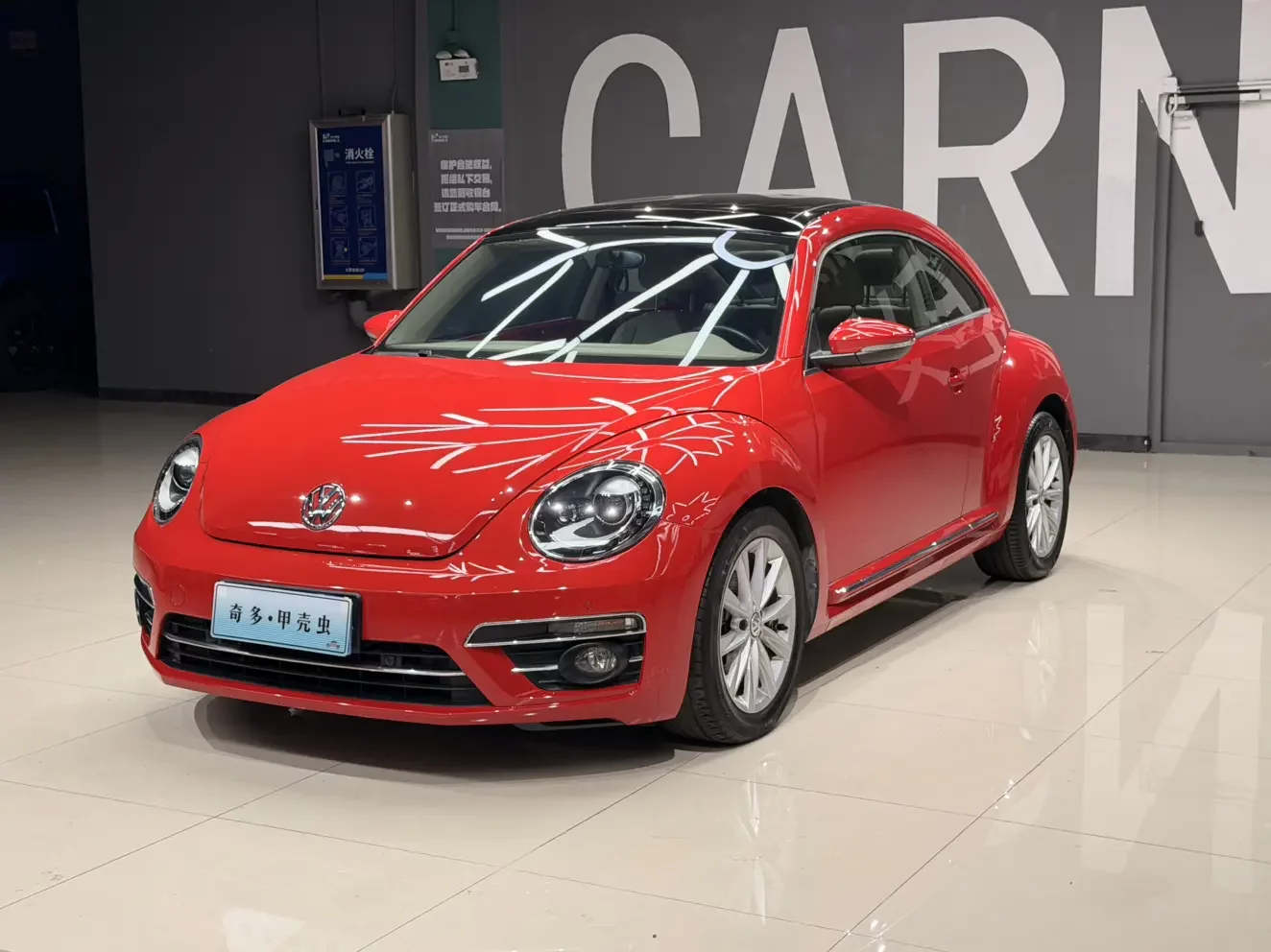 Volkswagen Beetle