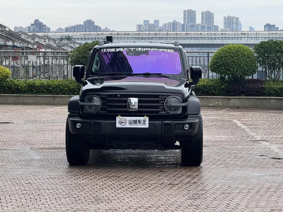 Tank 300