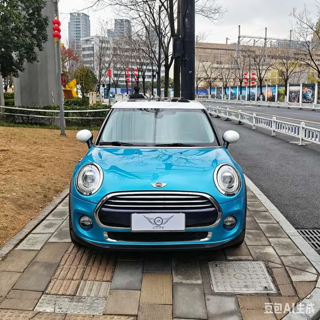 MINI 
