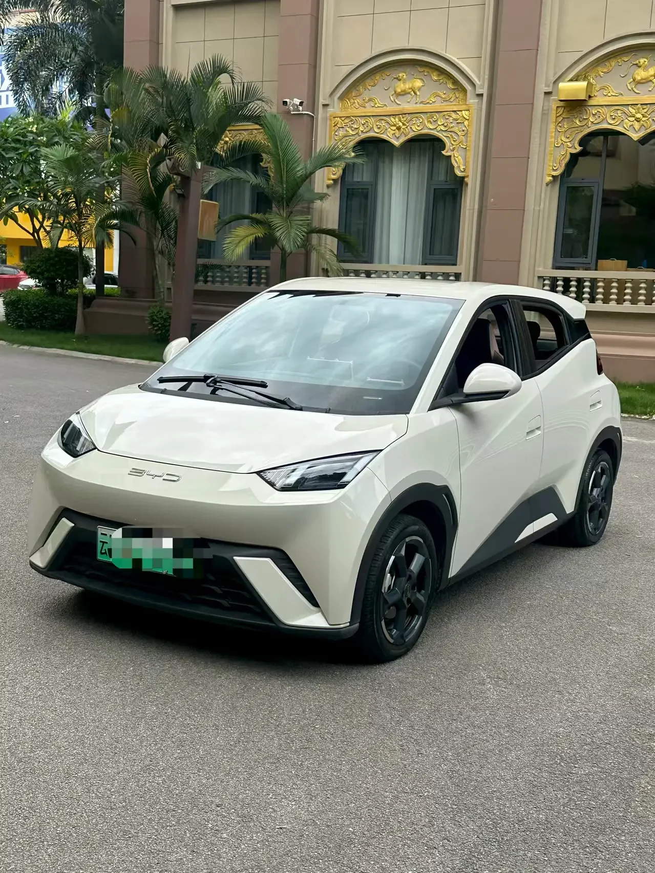 BYD seagull