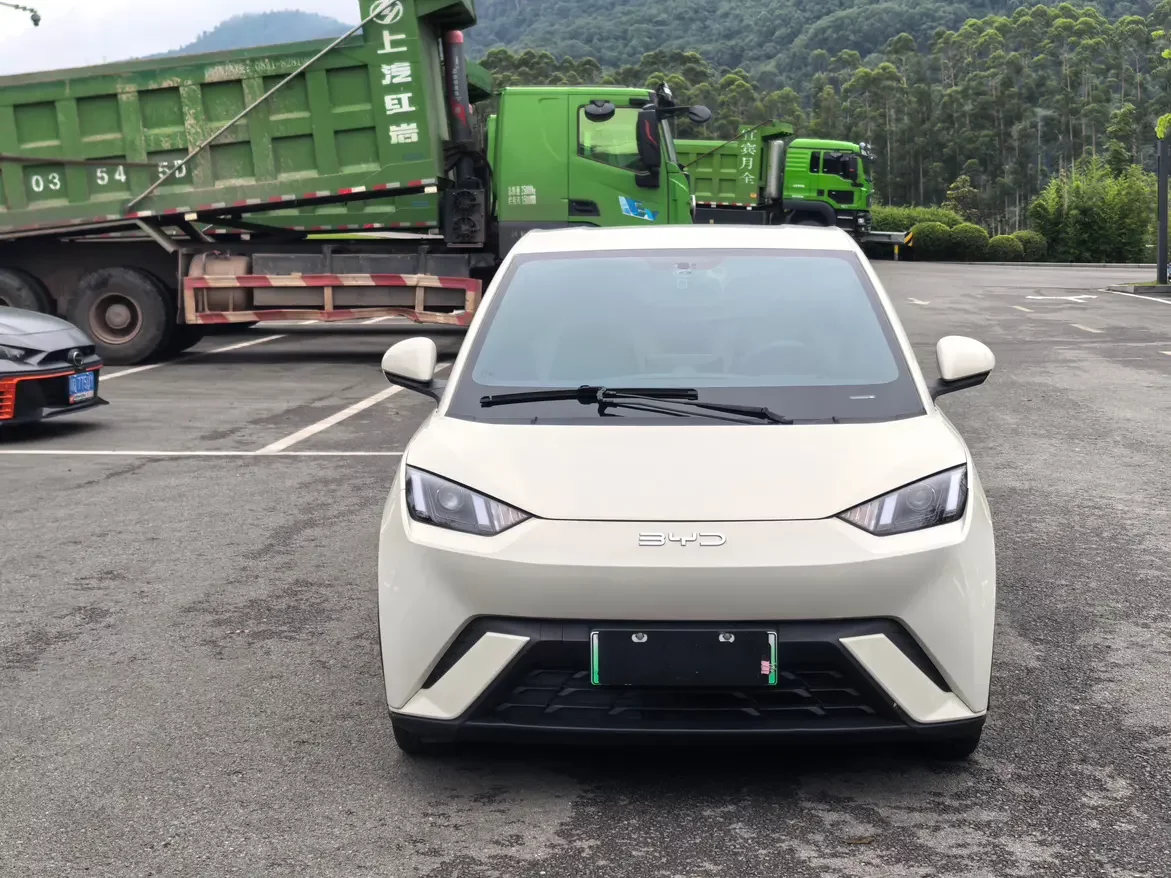 BYD seagull