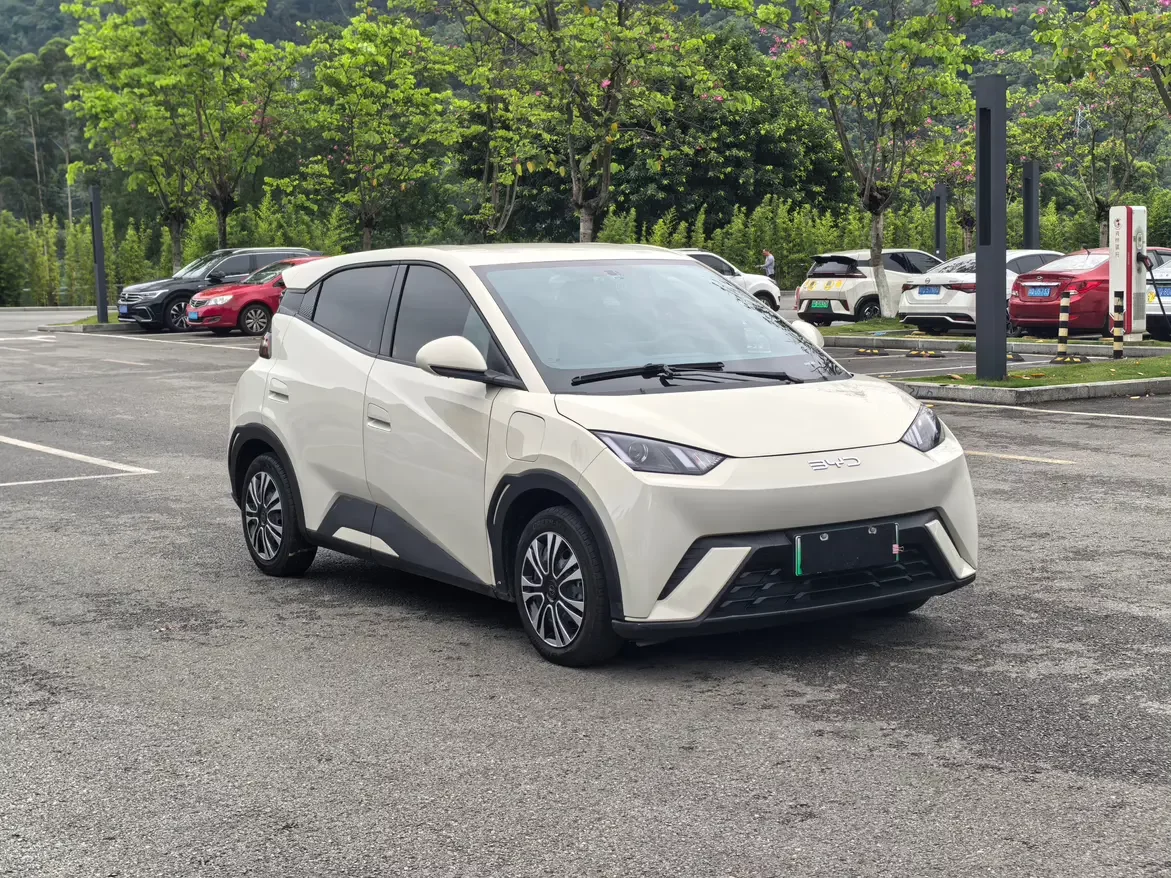 BYD seagull