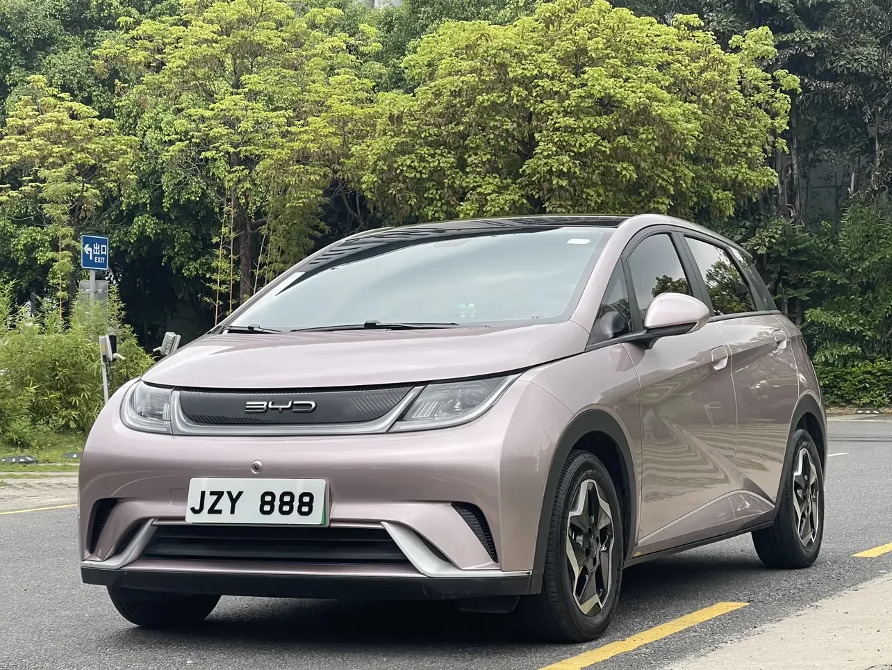 BYD dolphin
