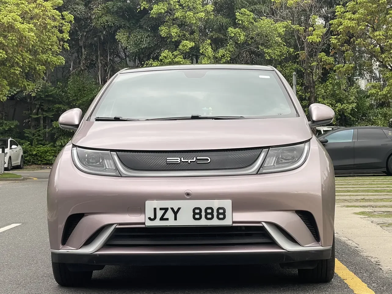 BYD dolphin