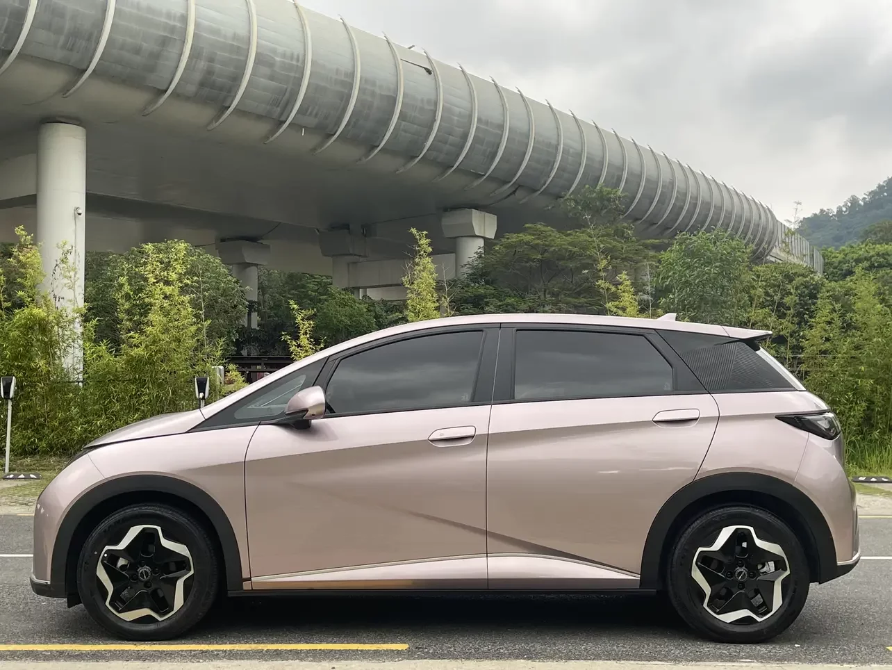 BYD dolphin