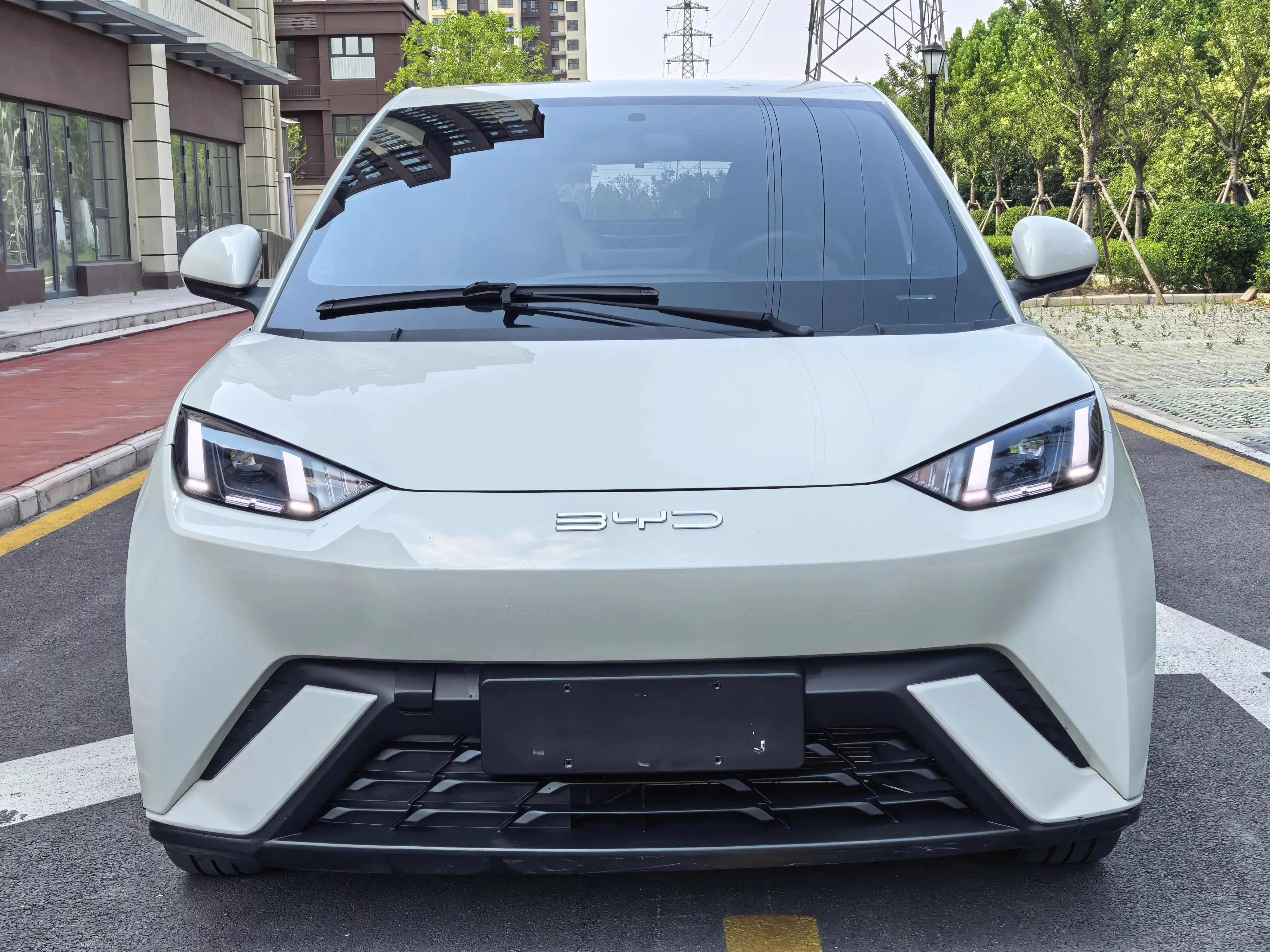 BYD seagull